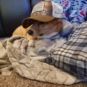 Meet your Posher, Stetson